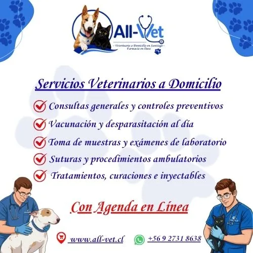 Dermisolona Suspensión Oral 30ml 2 Dermisolona Suspensión Oral 30ml - Imagen 2