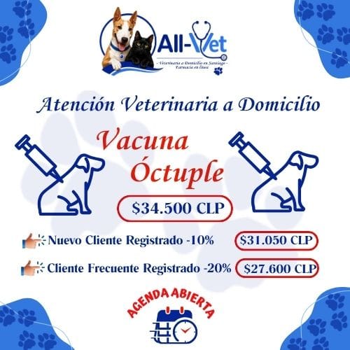 vacuna octuple perros a domicilio Santiago