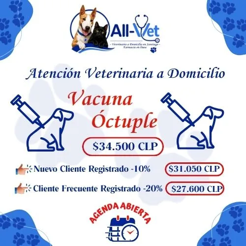 vacuna octuple perros a domicilio Santiago