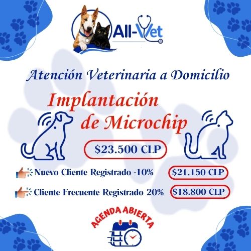 Agenda para Consulta Veterinaria a Domicilio y Otros Procedimientos Ambulatorios 2 implatancion-de-chip