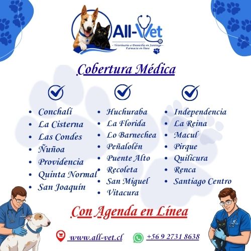 Agenda para Consulta Veterinaria a Domicilio y Otros Procedimientos Ambulatorios 6 Agenda para Consulta Veterinaria a Domicilio y Otros Procedimientos Ambulatorios - Image 6
