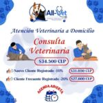 consulta-veterinaria-ALL-VET