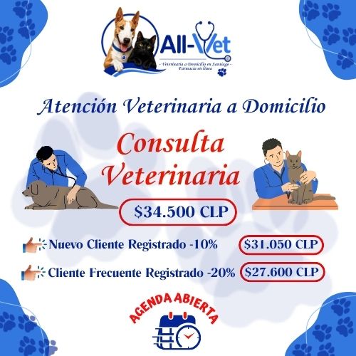 Agenda para Consulta Veterinaria a Domicilio y Otros Procedimientos Ambulatorios 1 consulta-veterinaria-ALL-VET