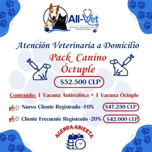 Pack de Vacunas Caninas Óctuple a Domicilio en Santiago