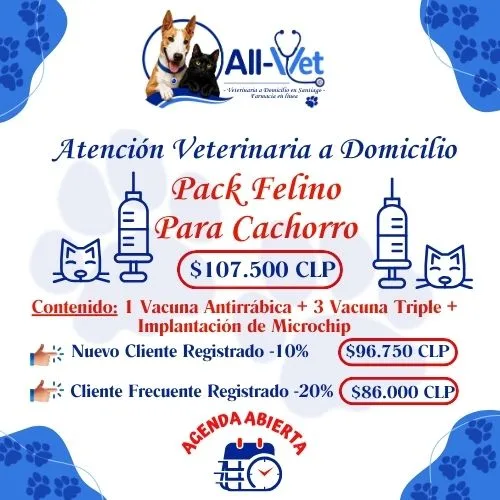 pack felino para cachorros
