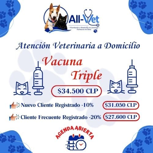Vacuna Triple Felina A Domicilio en Santiago