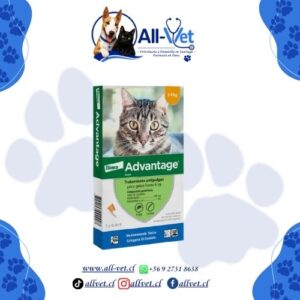 Advantage Gato hasta 4Kg