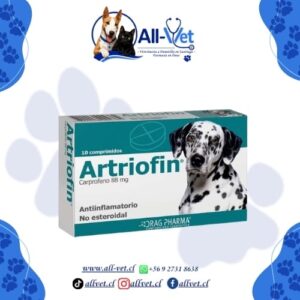 Artriofin 10 ComprImidos
