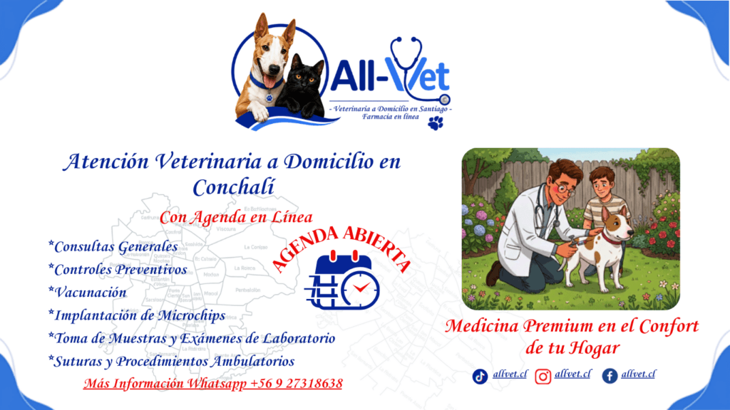 ALL-VET VETERINARIOS A DOMICILIO EN CONCHALÍ
