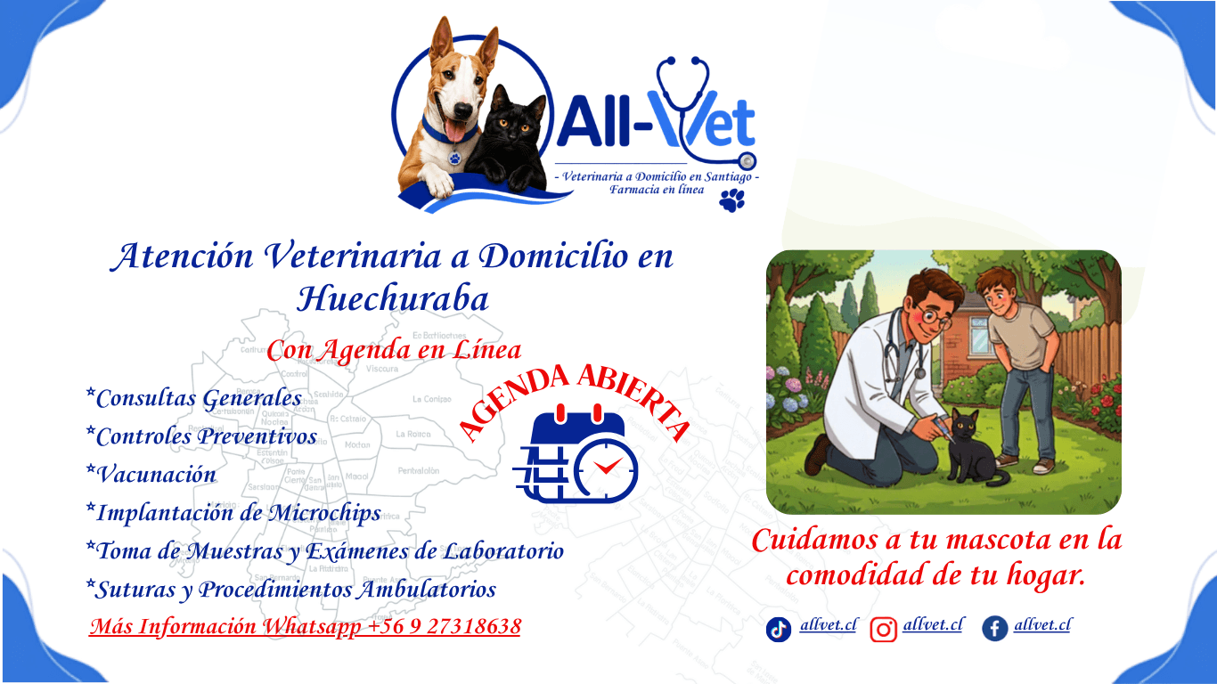 Veterinarios en Huechuraba