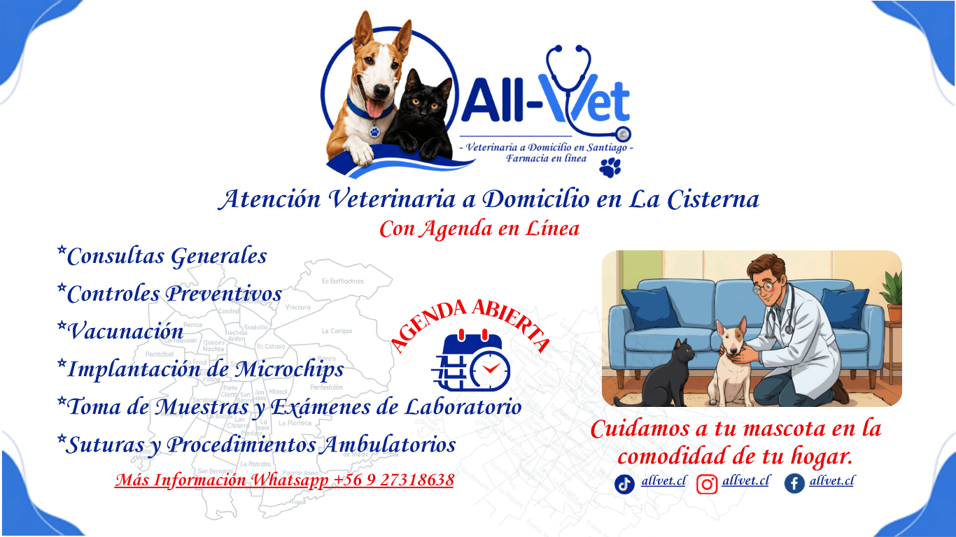Veterinaria a Domicilio en la Cisterna 1 Veterinaria a Domicilio en La Cisterna