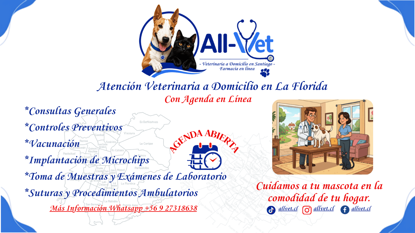 veterinaria a domicilio en la Florida