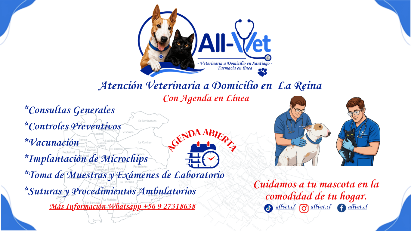 Veterinaria a domicilio en la Reina