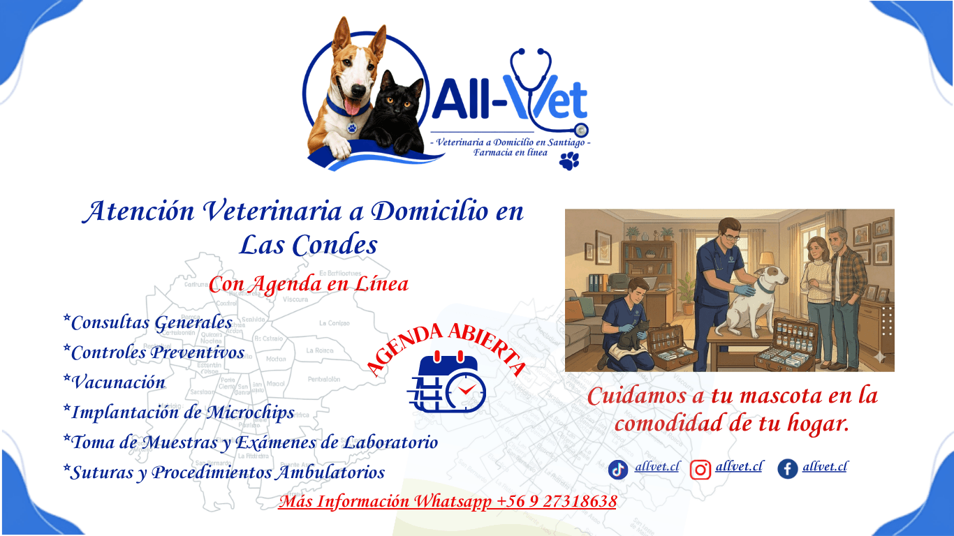 Veterinaria a domicilio en las condes