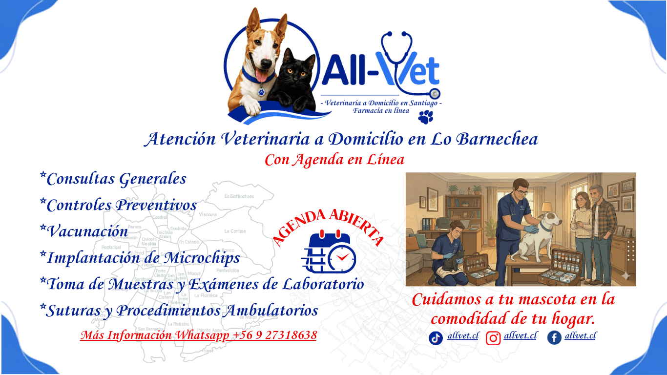 Veterinaria a domicilio en Lo Barnechea