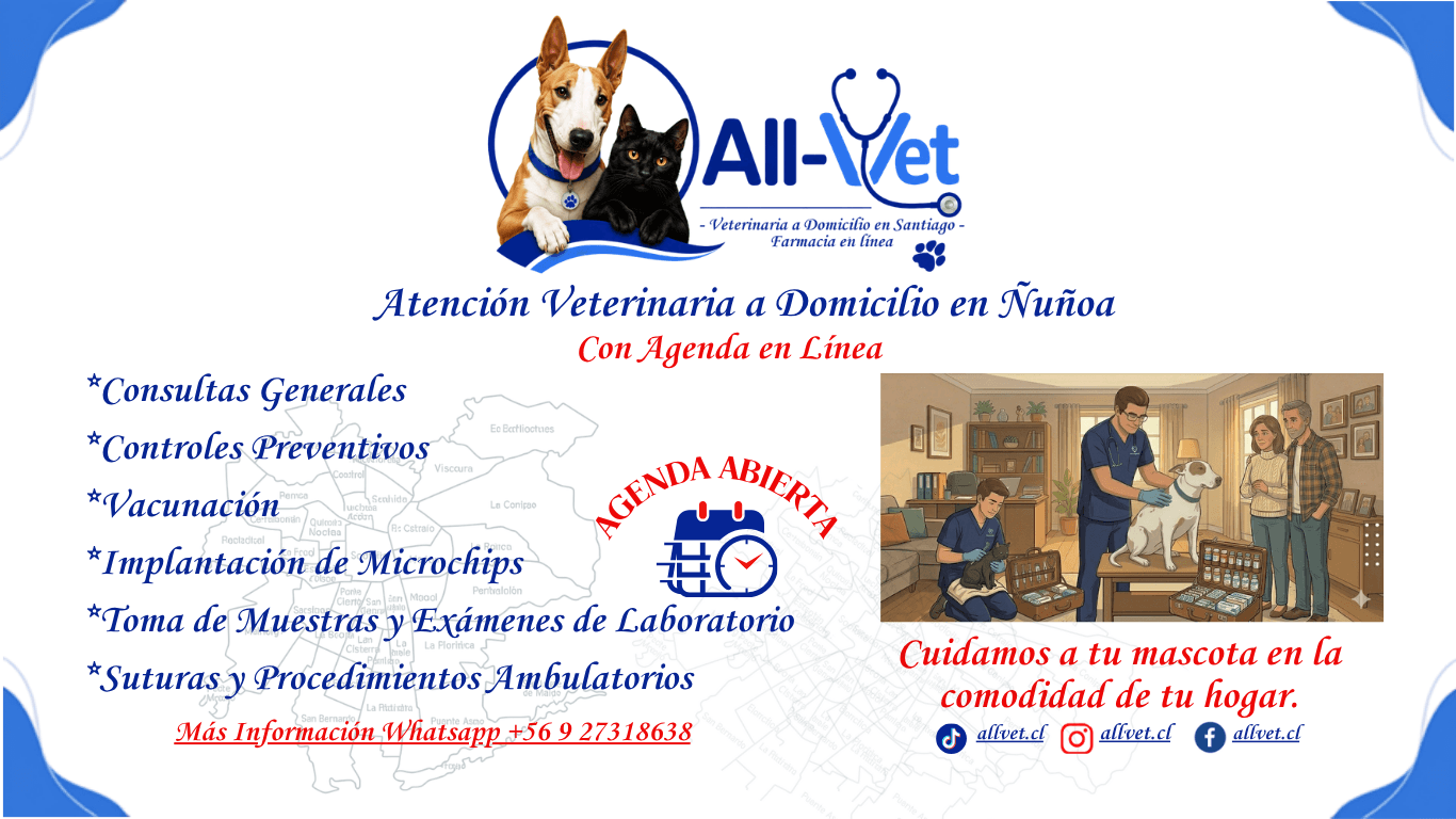 Veterinaria a domicilio en Ñuñoa