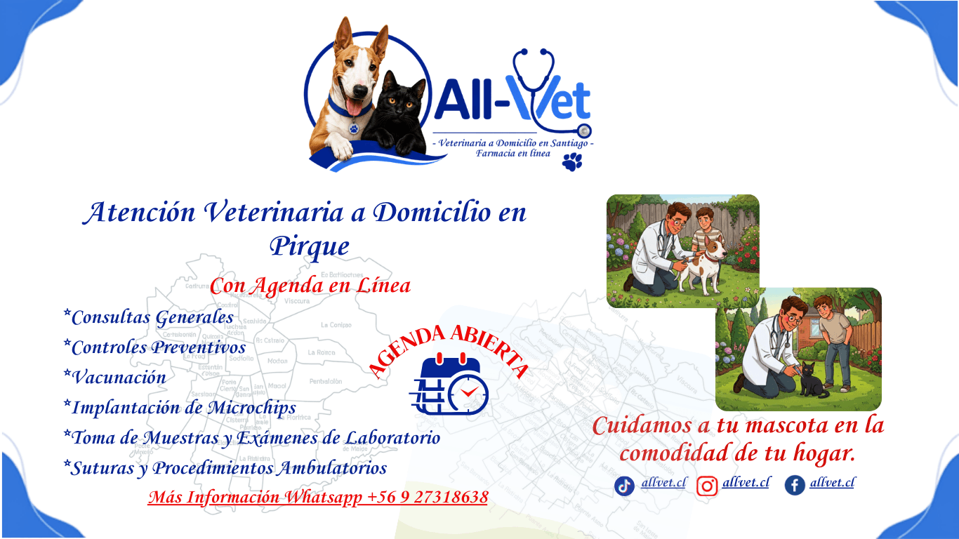 Veterinaria a Domicilio en Pirque
