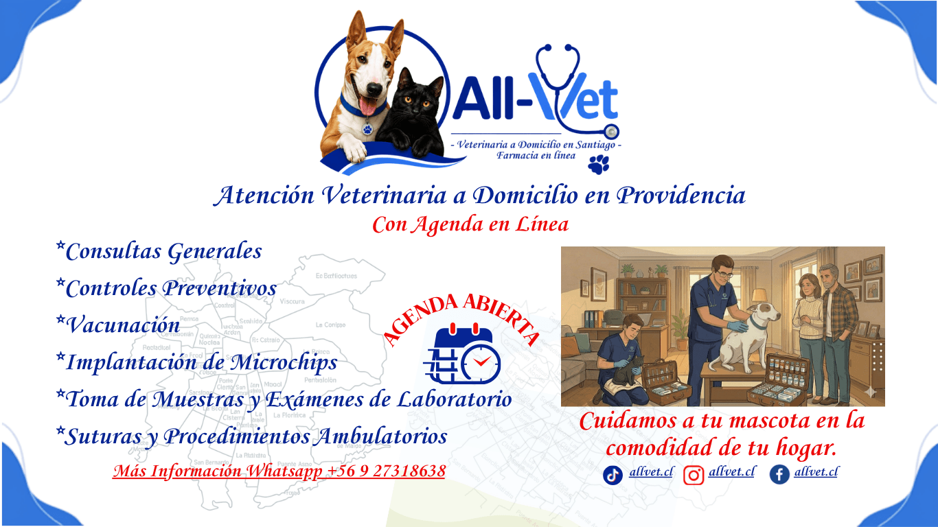 Veterinaria a domicilio en Providencia