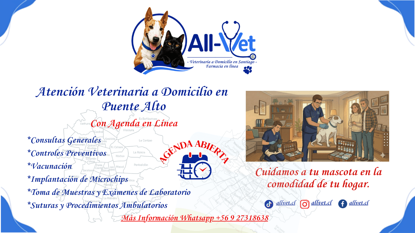 Veterinaria a domicilio en Puente Alto