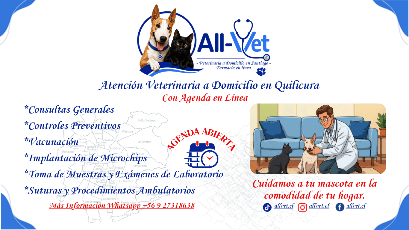 veterinaria a domicilio en quilicura