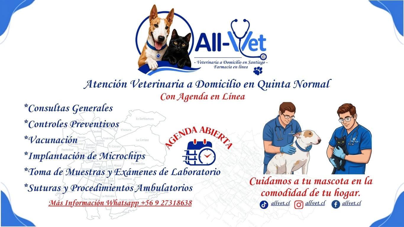 Atencion Veterinaria a Domicilio en Quinta Normal