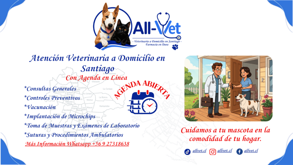 Veterinaria a Domicilio en Santiago 1 Veterinaria a Domicilio en Santiago