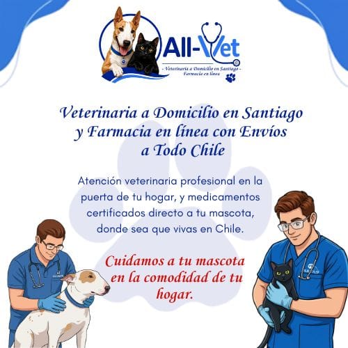 Atenciòn Veterinaria a Domicilio y Farmacia