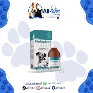 Meloxivet Perros
