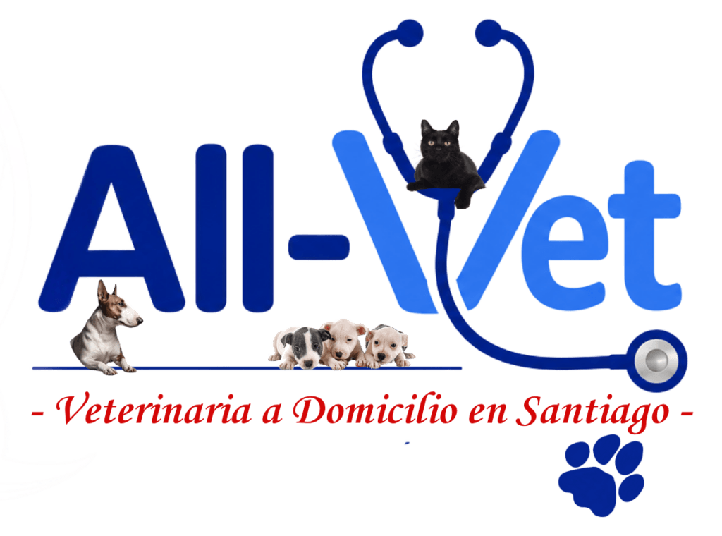 all-vet veterinaria a domicilio