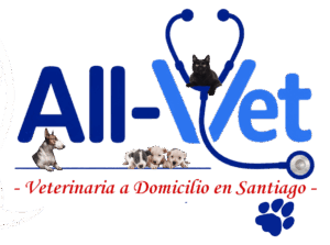 all-vet veterinaria a domicilio