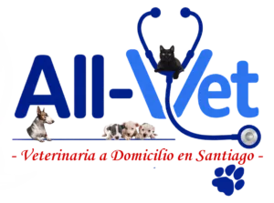 all-vet veterinaria a domicilio