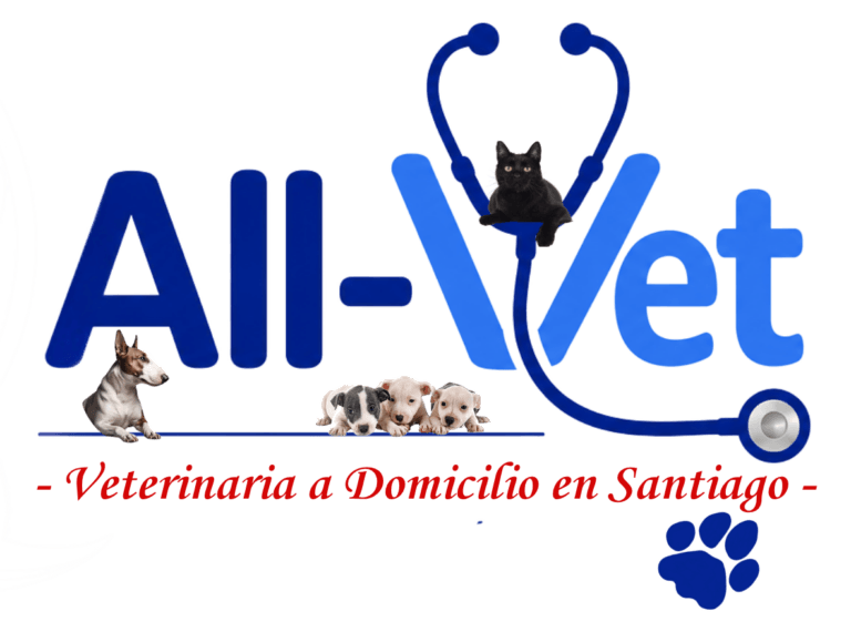 all-vet veterinaria a domicilio
