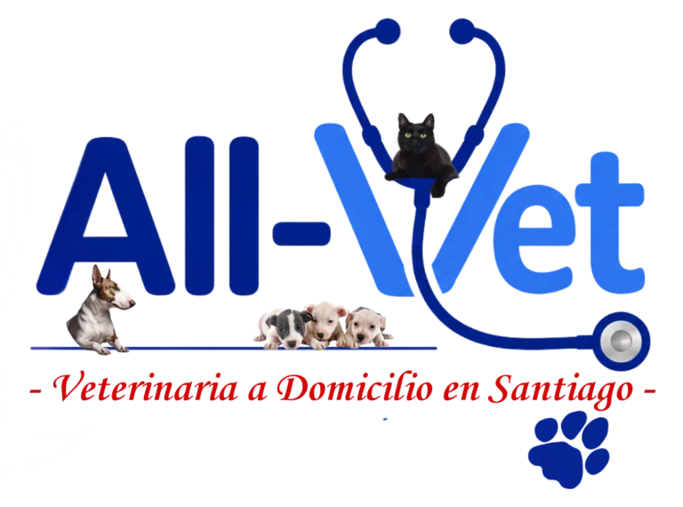 all-vet veterinaria a domicilio