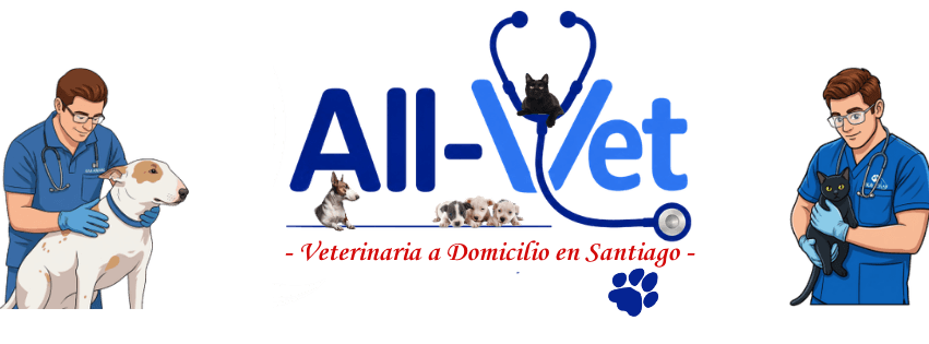 ALL-VET VETERINARIA A DOMICILIO EN SANTIAGO