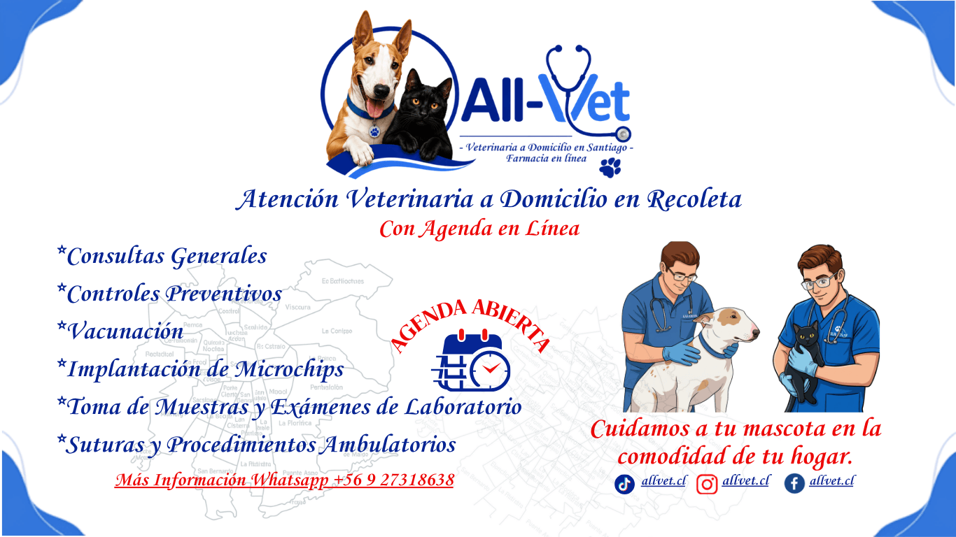 Veterinaria a Domicilio en Recoleta