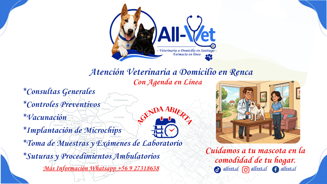 Veterinaria a Domicilio en Renca