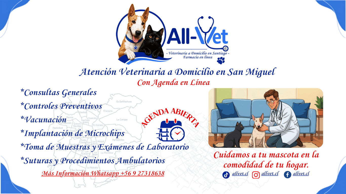 Veterinaria a Domicilio en San Miguel
