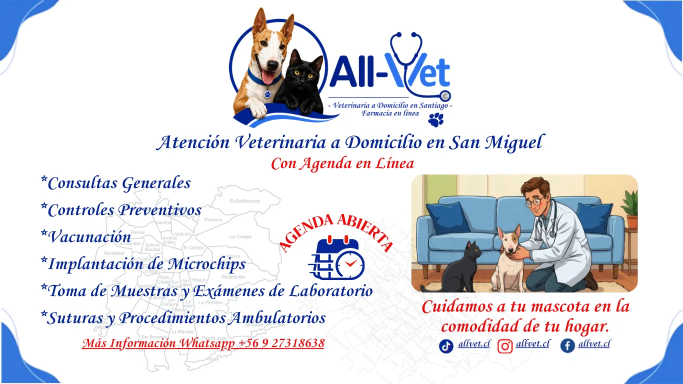 Veterinaria a Domicilio en San Miguel