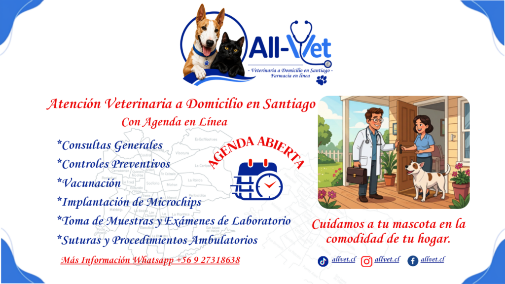 Veterinaria a Domicilio en Santiago