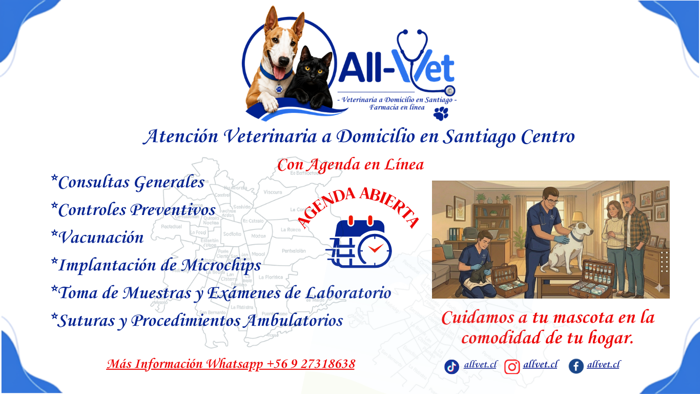 Veterinaria a Domicilio en Santiago Centro