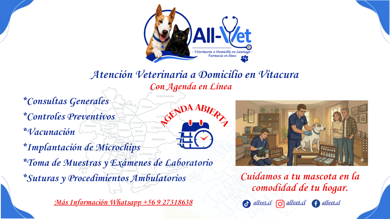 Veterinaria a Domicilio en Vitacura